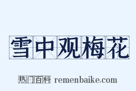雪中观梅花是什么意思的图片